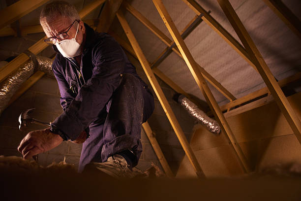 Best Residential Insulation in Carrollton, GA