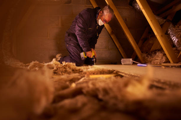 Best Insulation for Specific Applications in Carrollton, GA